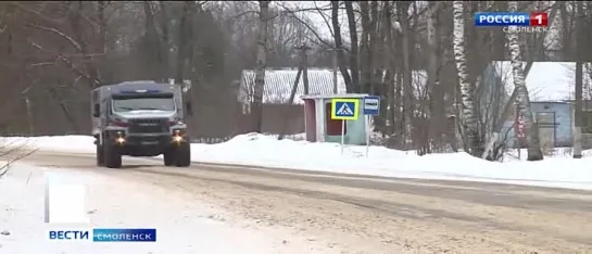 Волки Загрызли Более 20 Овец.