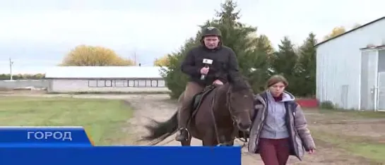 Наездница Сбила Девочку и Её Маму.