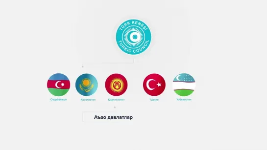 TURKIY KENGASH INFOGRAFIK FILM