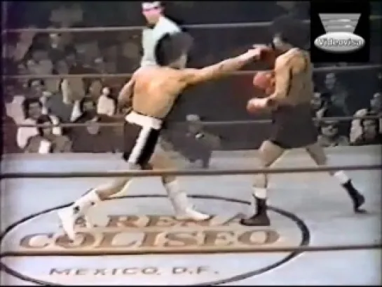 1977-05-21 Salvador Sanchez vs Rosalio Badillo