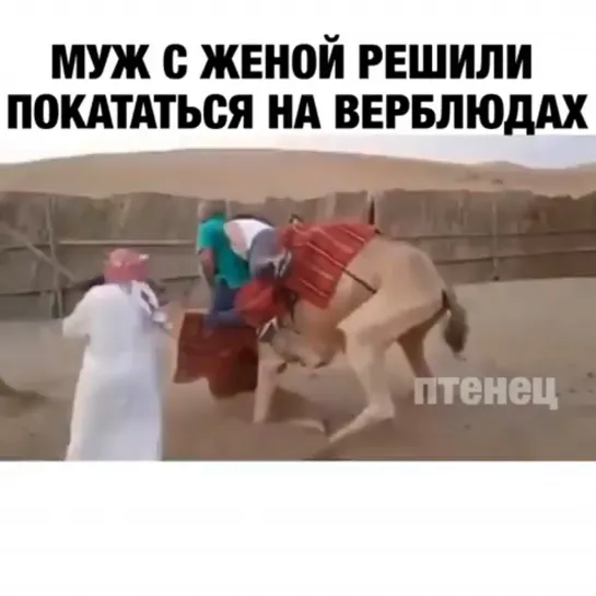 Покатались на верблюдике🤣🤣🤣