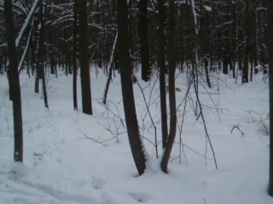 Видео от Андрея Харланова