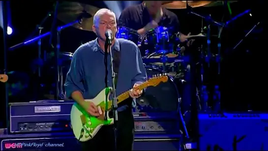 David Gilmour  _ Guitarist Extraordinaire _