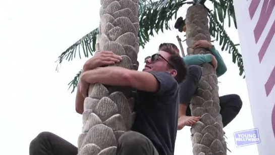 Cody Christian  Dylan Sprayberry- Coconut Tree Challenge!