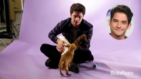 Dylan OBrien From The Maze Runner Plays With Puppies