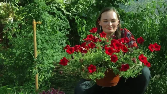 Видео от Дачный агроном