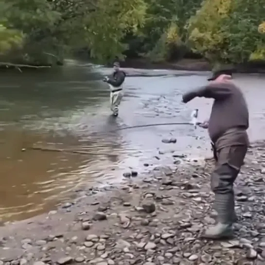 Видео от Дениса Харченко