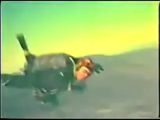 Sky Capers - Skydiving movie from the 60s