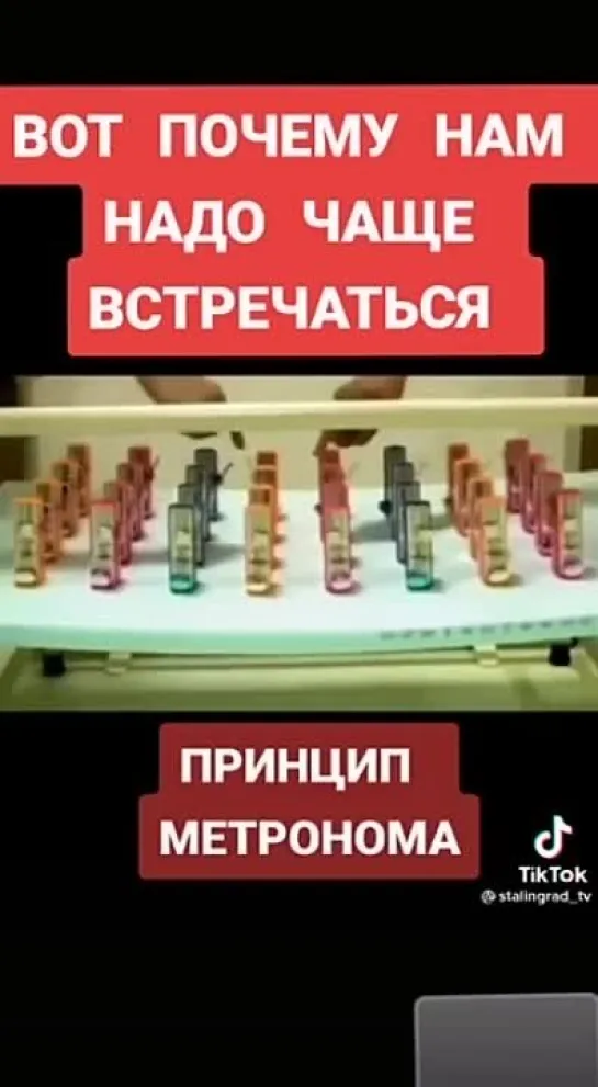 Общество, как метроном!