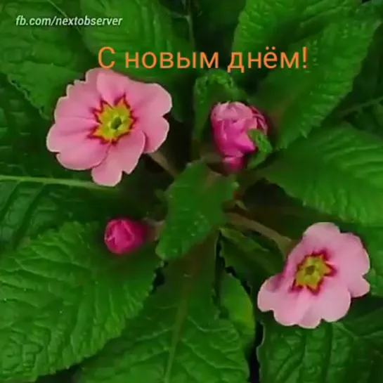 Рождение цветов! 🌹🌹🌹
С новым днём Друзья!
Бодрого вам настроения !