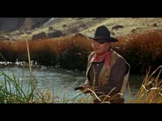 Valor de ley - Henry Hathaway 1969 (7/10) Oscar: Mejor actor (John Wayne). 2 nominaciones