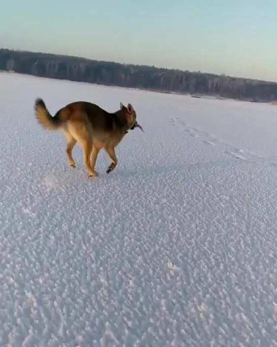 Видео от Сергея Сергеевича