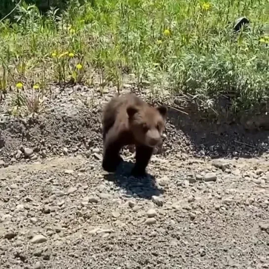 Видео от Сергея Сергеевича