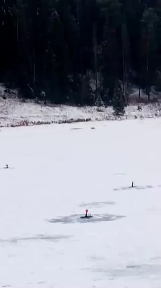 Видео от Сергея Сергеевича