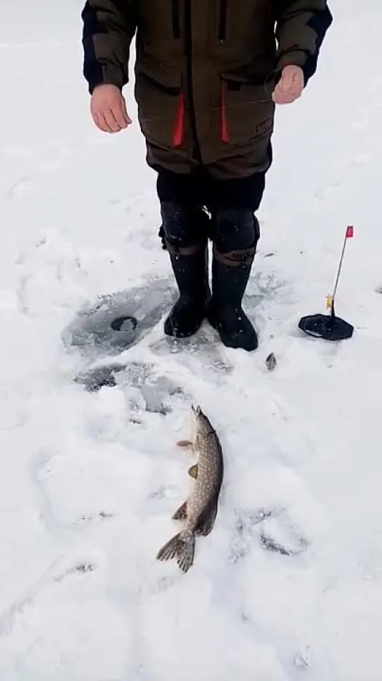 Видео от Сергея Сергеевича