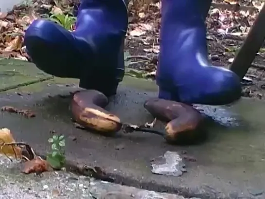 Синие резиновые сапоги и два банана / Blue rubber boots and two bananas