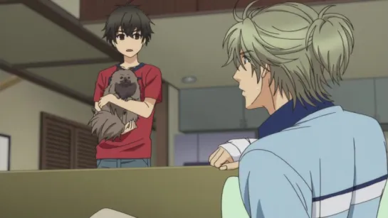 [SHIZA] Больше, чем возлюбленные (2 сезон) / Super Lovers TV2 - 5 серия [Daelit] [2017] [Русская озвучка]