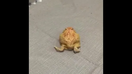 twerktoad