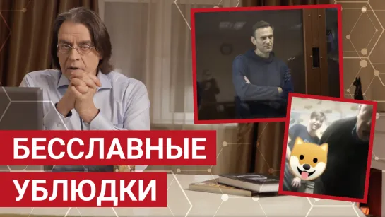 «Торпеда Навальный», хамство в суде и отпуск за донаты | Пчёлы Против Мёда