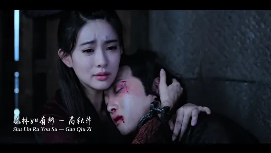 Gao QiuZi (高秋梓) – If The Woodlands Has Something To Say (疏林如有诉) [The Untamed (陈情令) OST]