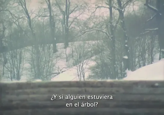 El espejo VOSE - Andrei Tarkovsky 1975 (8/10)