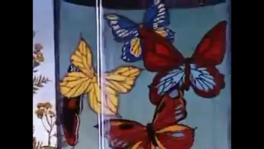 Бабочка/ Butterfly (реж. Андрей Хржановский, 1972)