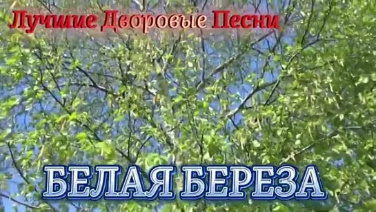 # Алексей Кракин - Белая береза #