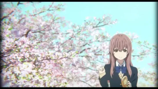 Koe no Katachi • The Chainsmokers - All We Know ft. Phoebe Ryan • AMV「愛してる」