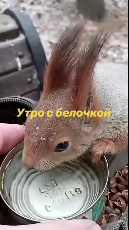 Доброе утро.mp4