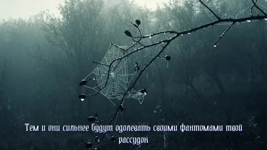 Shape Of Despair - Written in My Scars (с переводом)