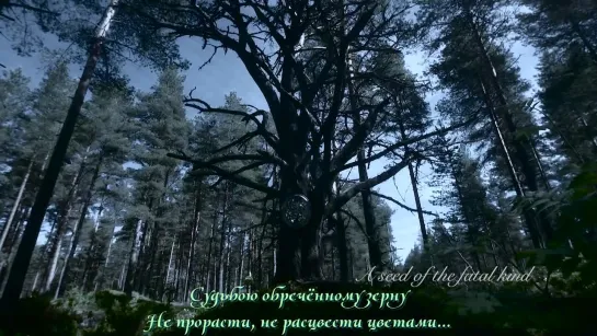 Trees Of Eternity - Broken Mirror (с переводом)