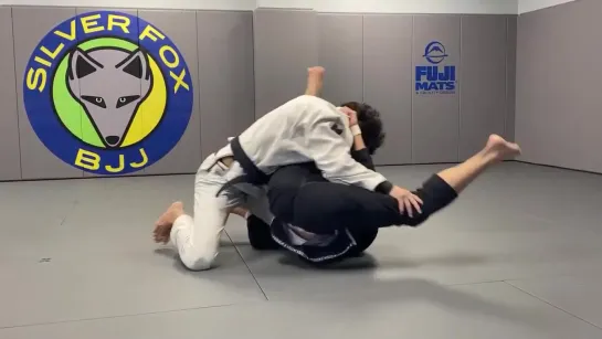 Karel "Silver Fox" Pravec - 12 ROLLwithTheFOX - Perpendicular Guard  Flower Sweep, Armlock, Reverse Triangle