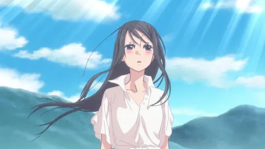 Amanchu NCOP