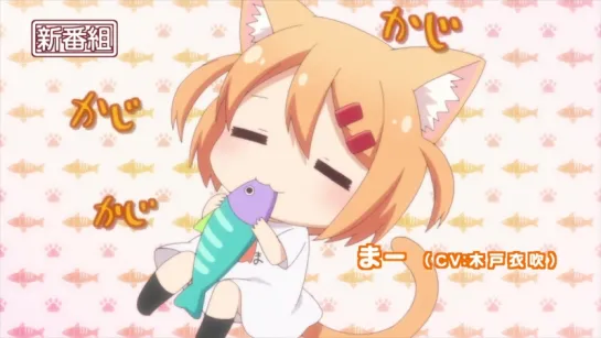 Nyanko Days CM