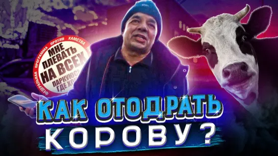 СтопХам - Как отодрать корову