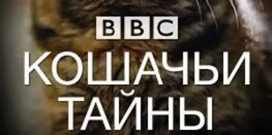 BBC. Кошачьи тайны (2014) 03. Язык кошек