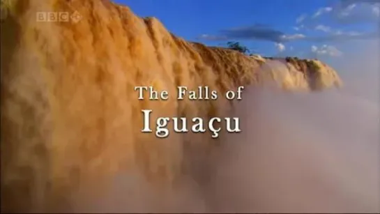 BBC. Чудо-водопады Игуасу / Natural World - The Falls Of Iguacu (2006)