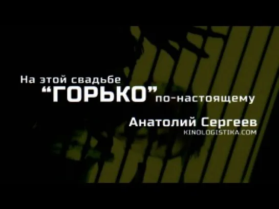 Репортаж со свадьбы (Трейлер \ Тизер)