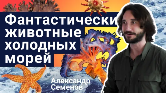 Александр Семенов - Фантастические животные холодных морей | Стань учёным!