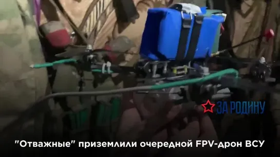 "Отважные" приземлили очередной FPV-дрон ВСУ