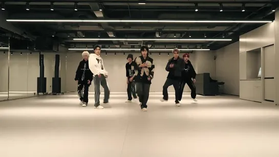 WayV 威神V Phantom Dance Practice