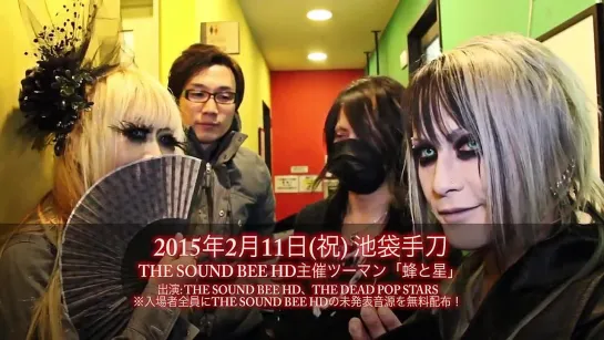 [jrokku] THE SOUND BEE HD -「蜂と星」(комментарий)