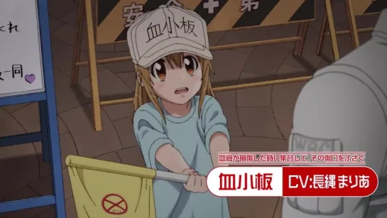 Hataraku Saibou PV2