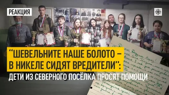 “Шевельните наше болото – в Никеле сидят вредители”: дети из северного посёлка просят помощи