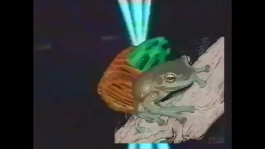 Hope - Tree Frog (1993)