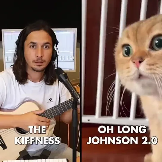 The Kiffness x Oh Long Johnson 2.0 - Hold Onto My Fur (Talking Cat Song)