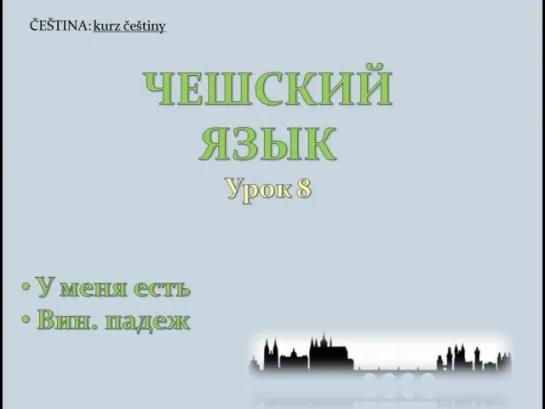 Урок чешского 8: У меня есть, винительный падеж