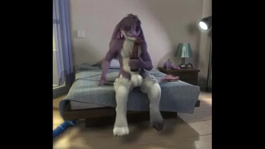 Furry Solo (2) 18+