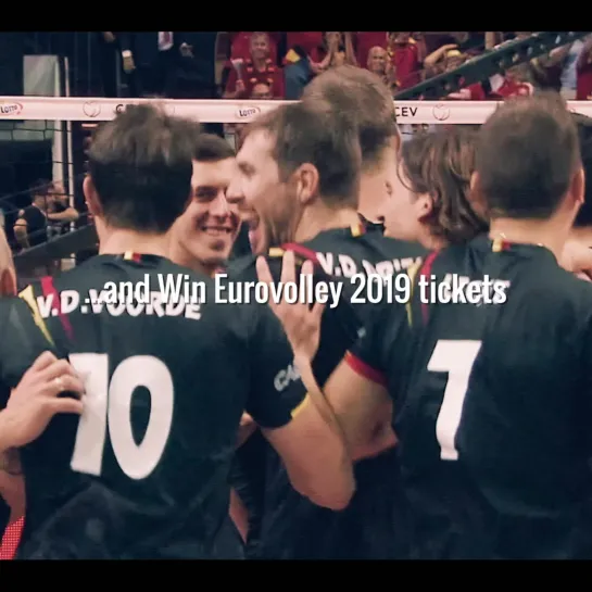 Volley 2019