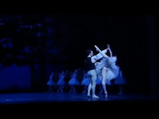 Illusions of Swan Lake (John Neumayer)